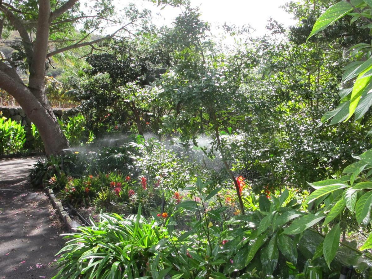Haciendas del Valle - Las Kentias Valle de Guerra Exterior foto
